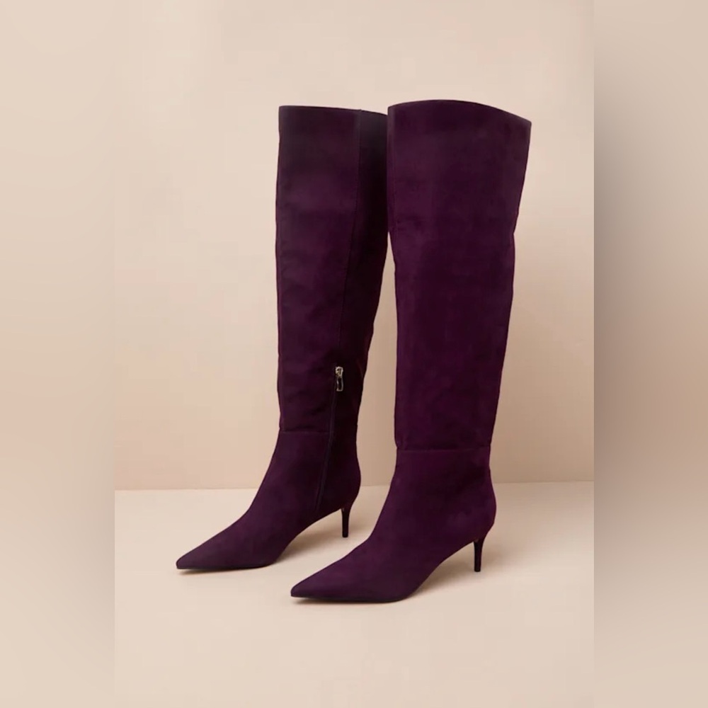 NWOT Eggplant Suede Pointed-Toe Over-the-Knee Boots